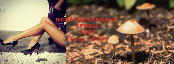 МДПВ Каменногорск