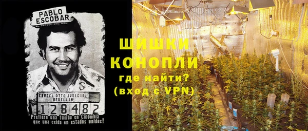 ECSTASY Заводоуковск