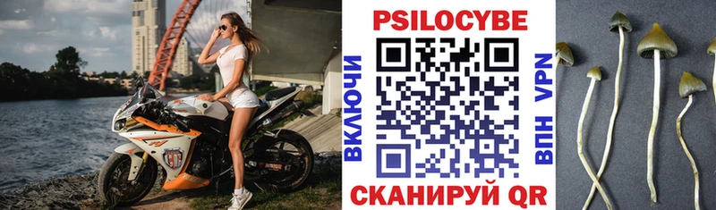 Псилоцибиновые грибы мицелий  Купить  Купино 